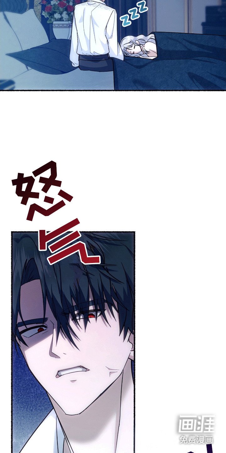 第9章：变回小猫