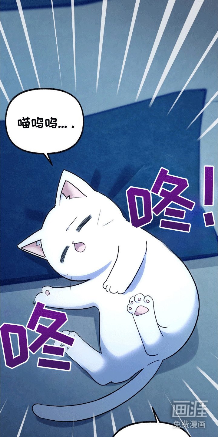 第9章：变回小猫