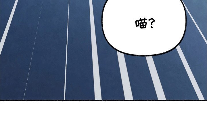 第9章：变回小猫