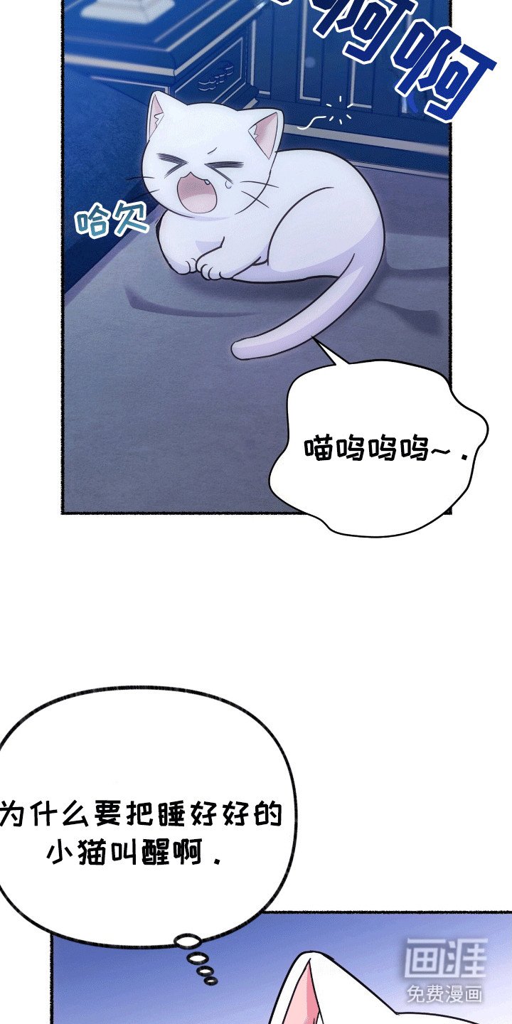 第9章：变回小猫