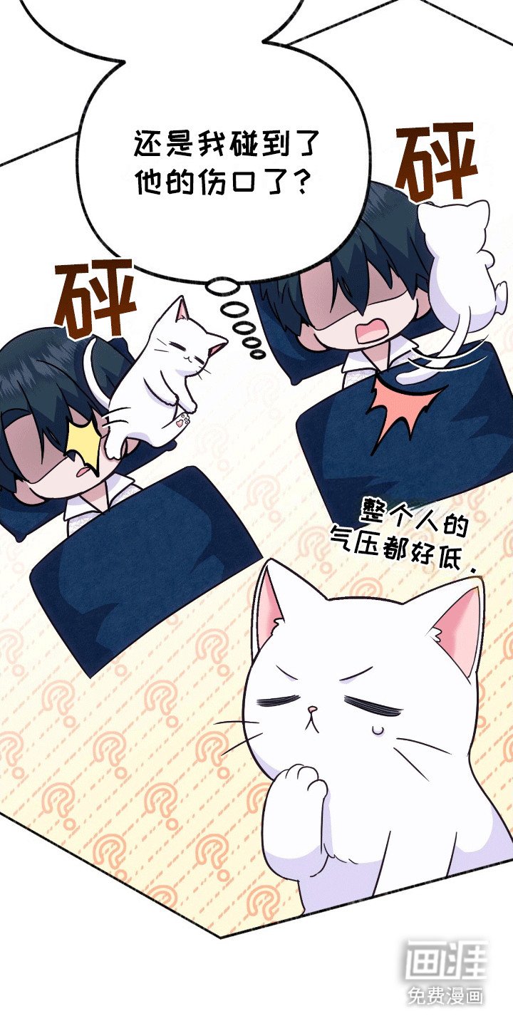第9章：变回小猫