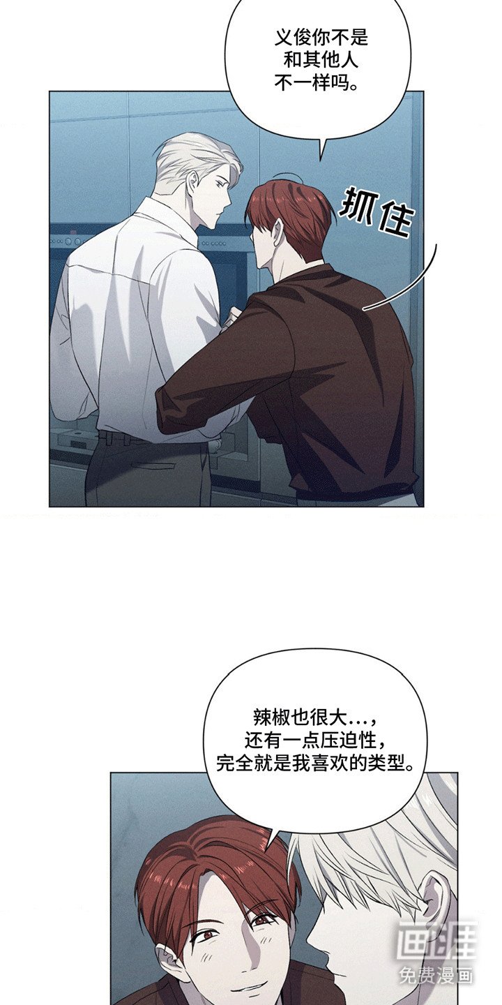 第13章：替代