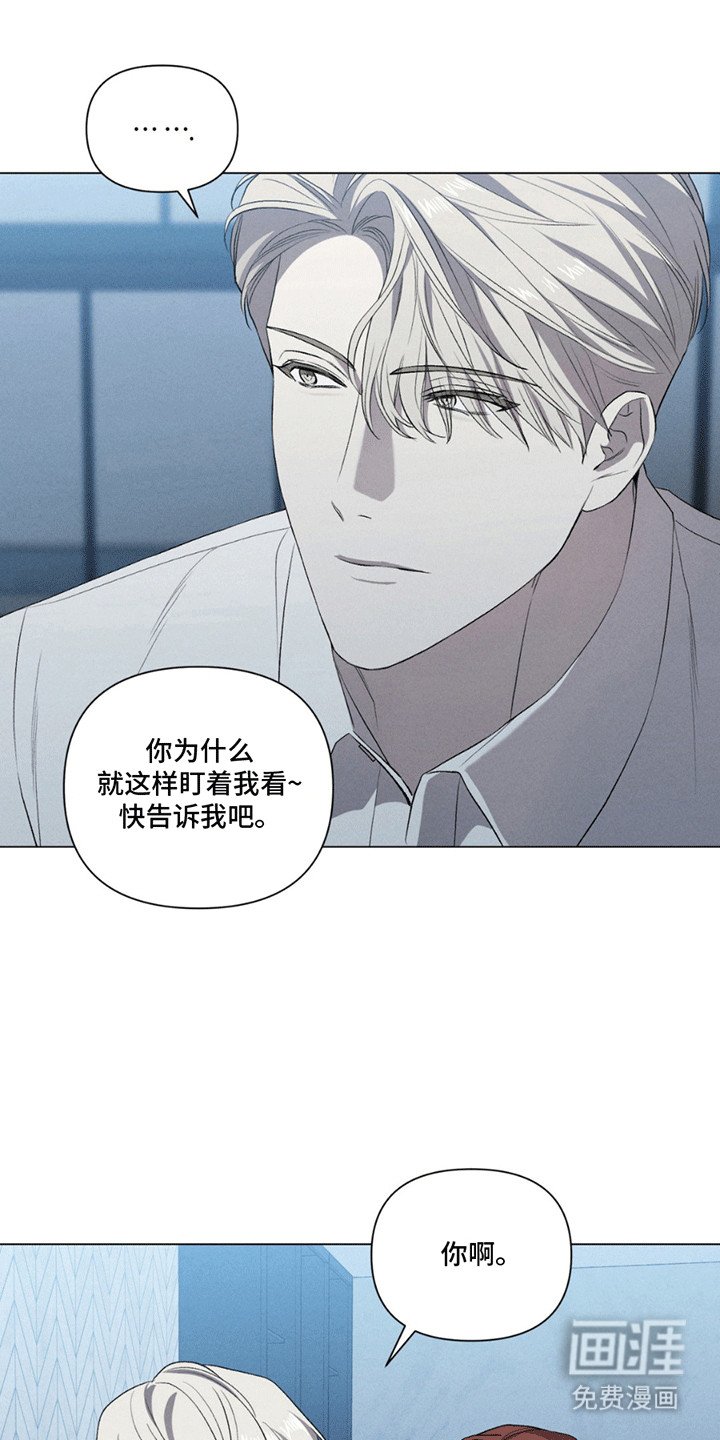 第13章：替代