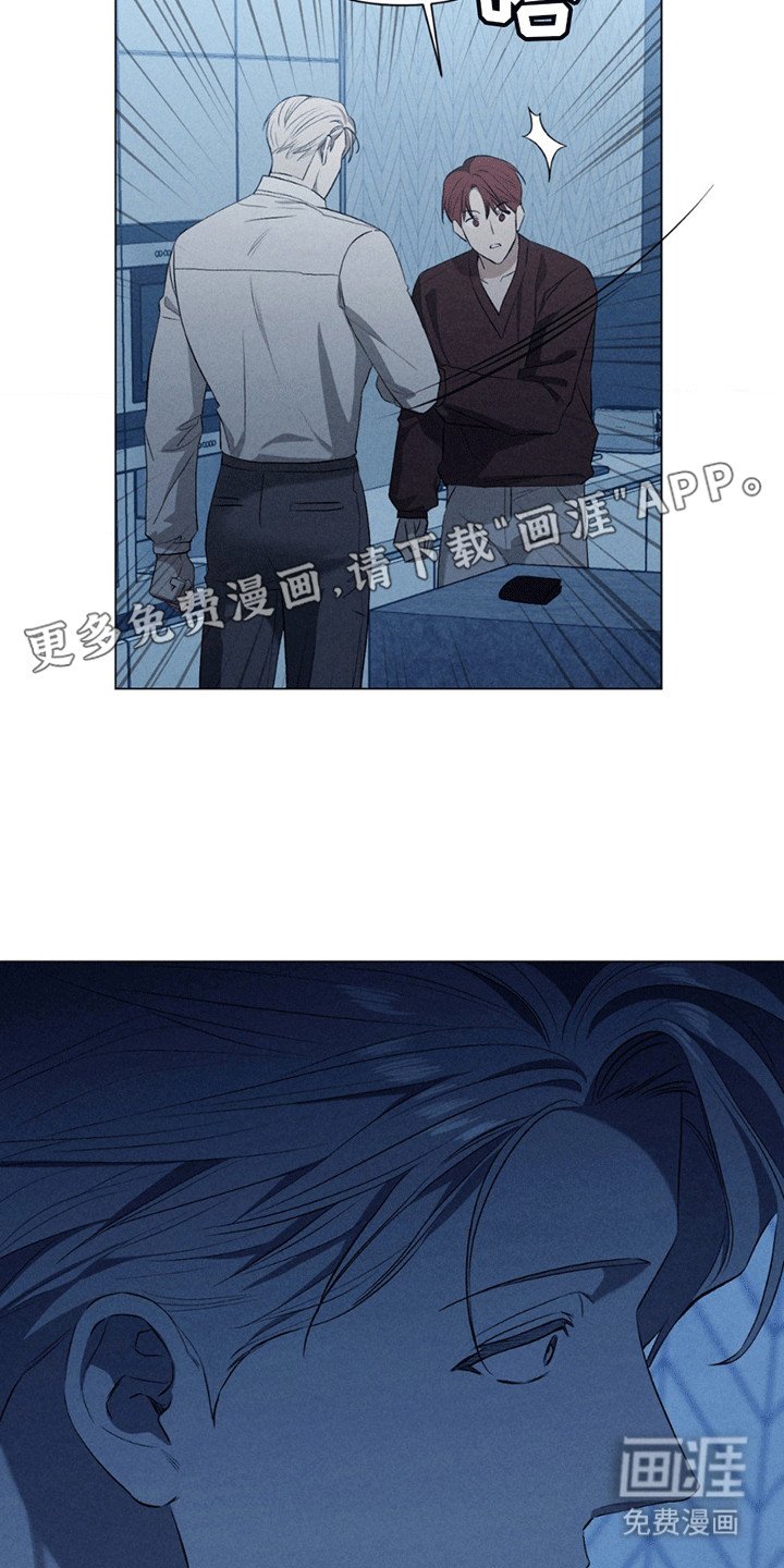 第13章：替代