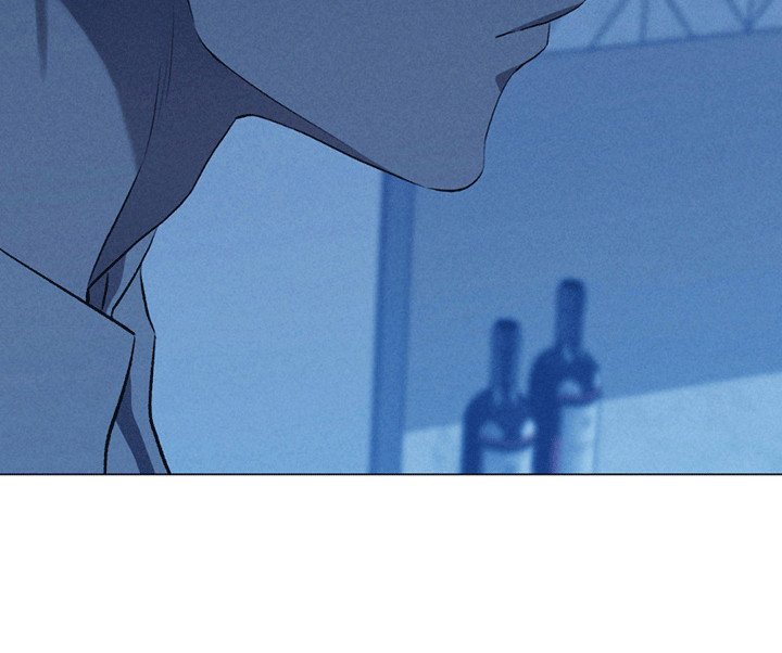 第13章：替代