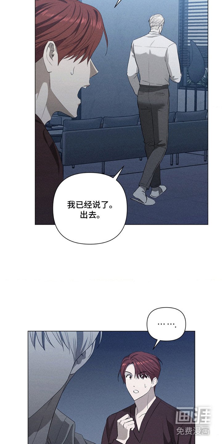 第13章：替代