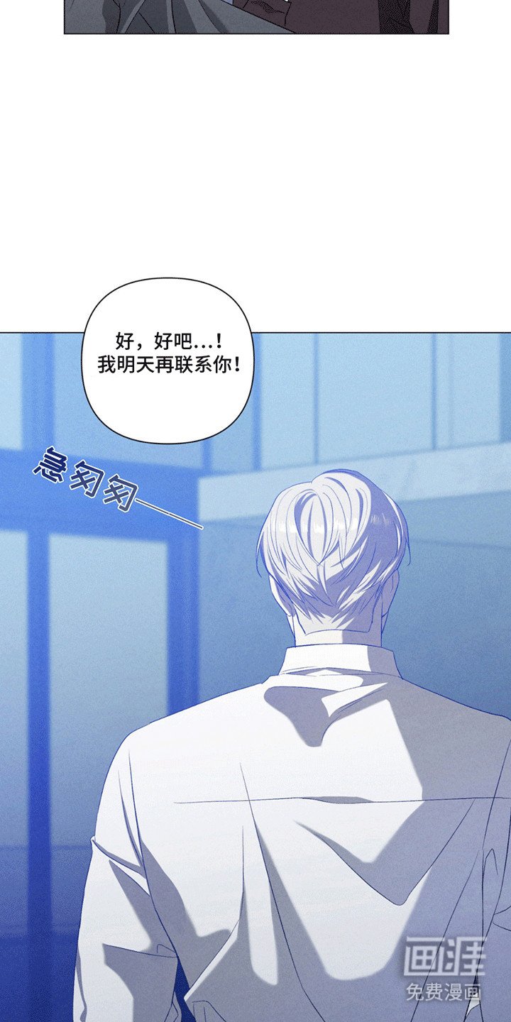 第13章：替代
