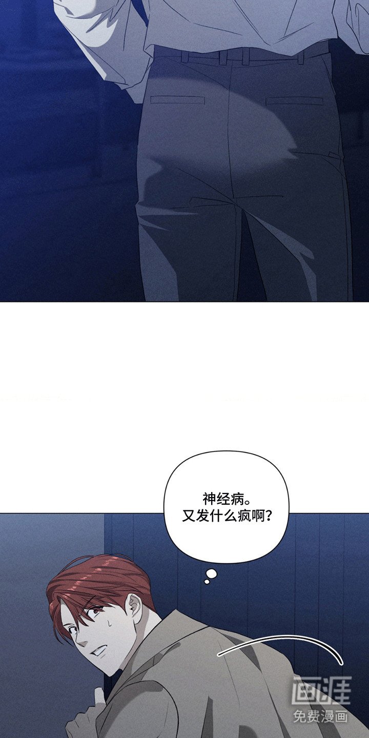 第13章：替代