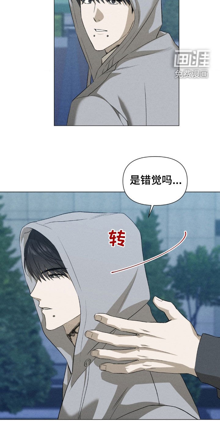 第41章：终于见面了（第一季完结）