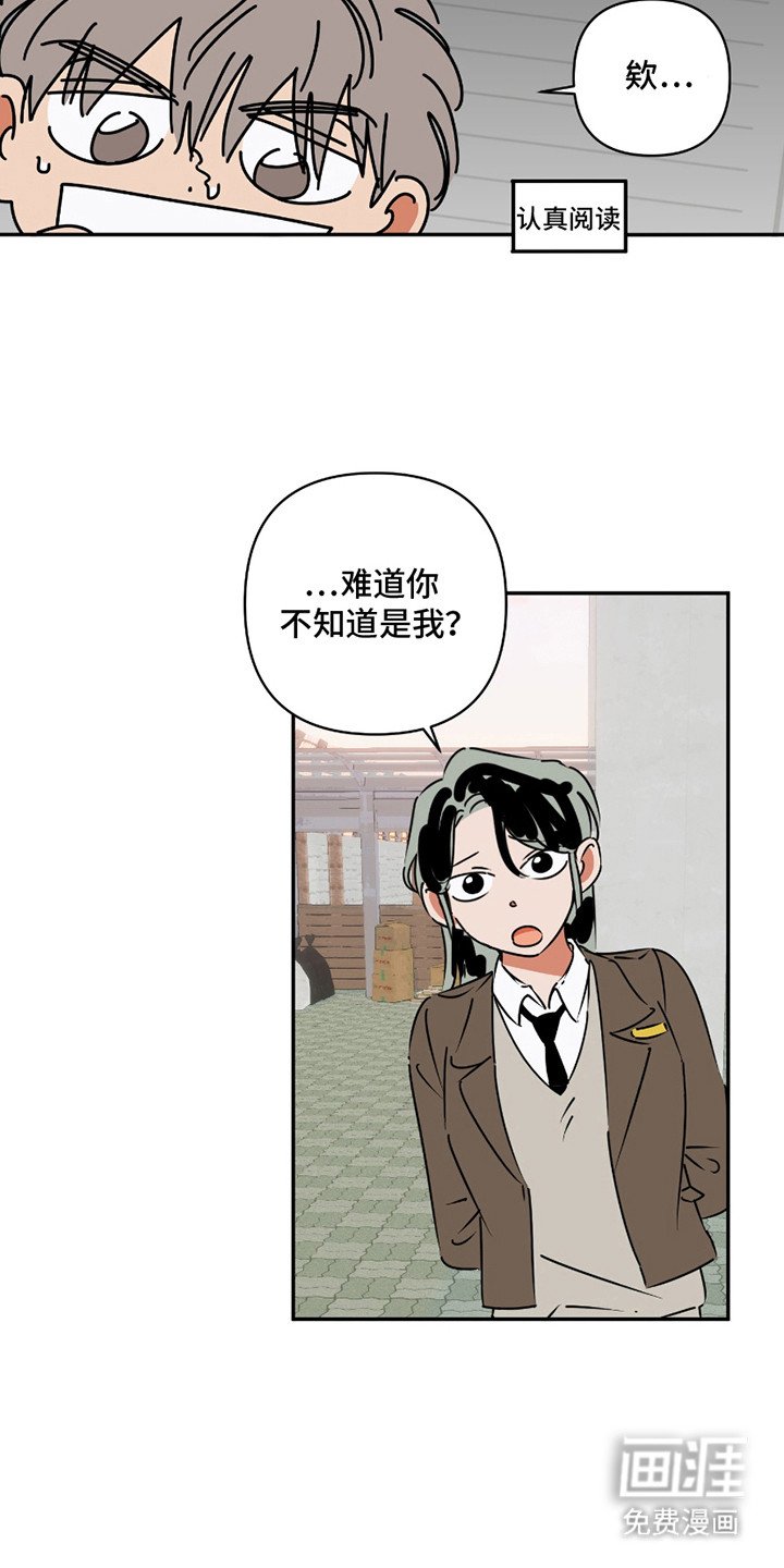 第12章：失望