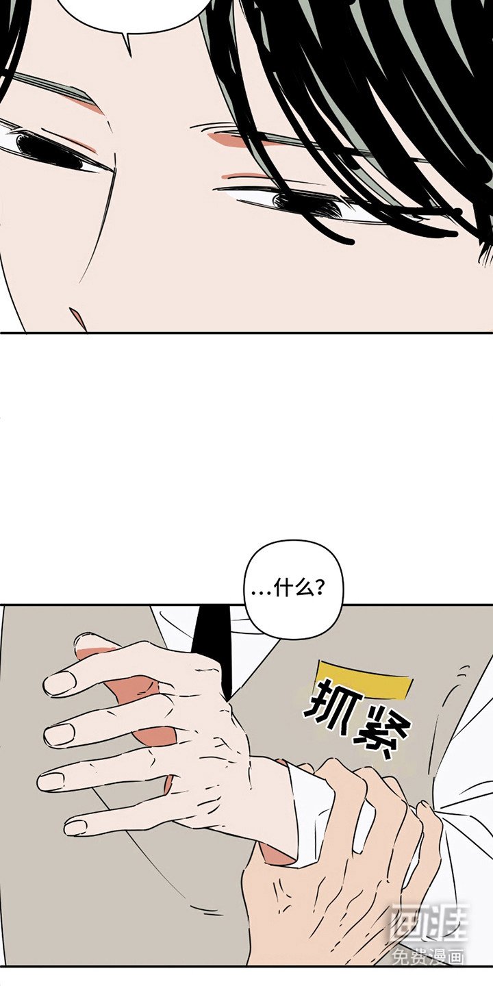 第12章：失望