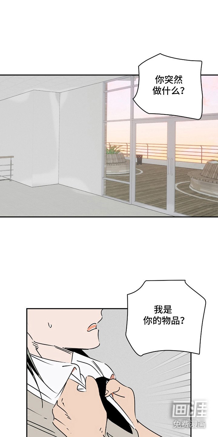 第14章： 一定是爱