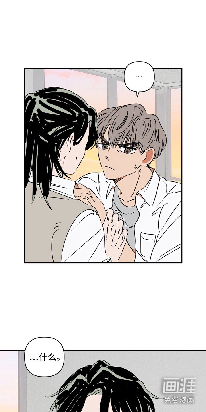 第14章： 一定是爱