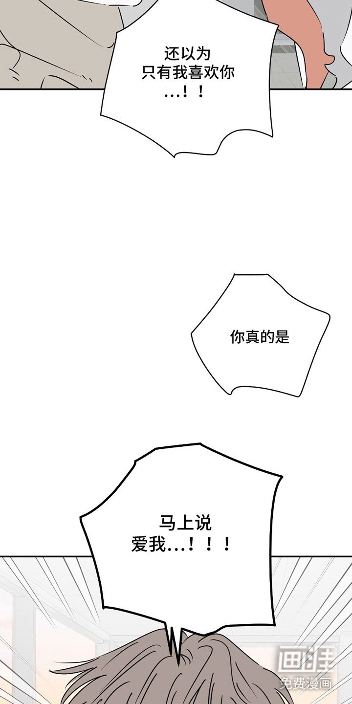 第14章： 一定是爱