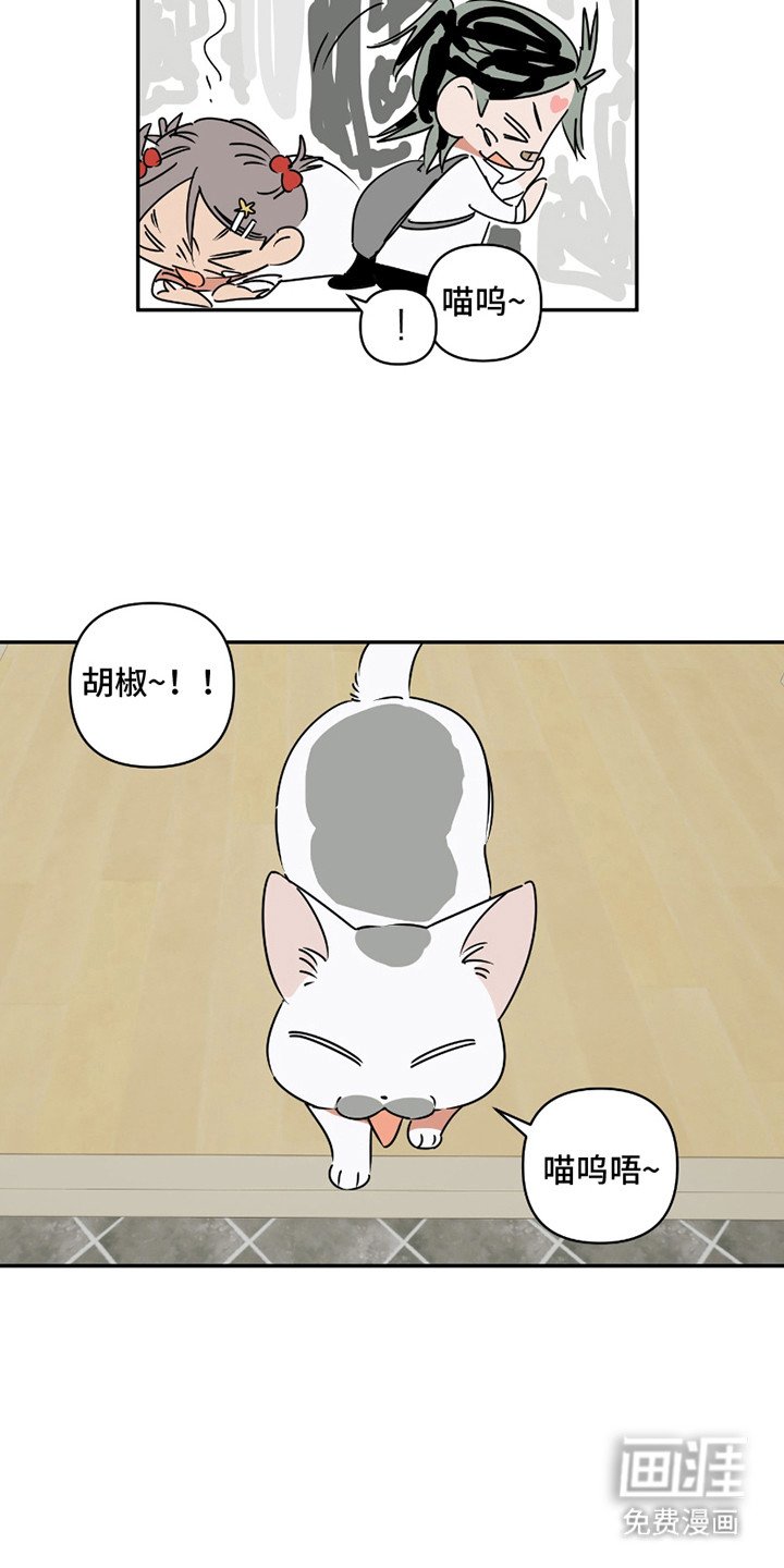 第8章：花辫子