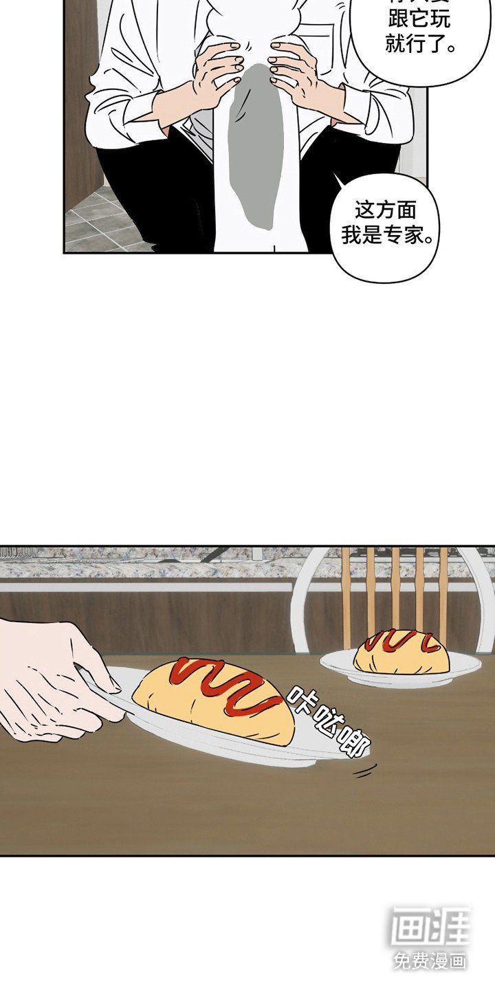 第8章：花辫子