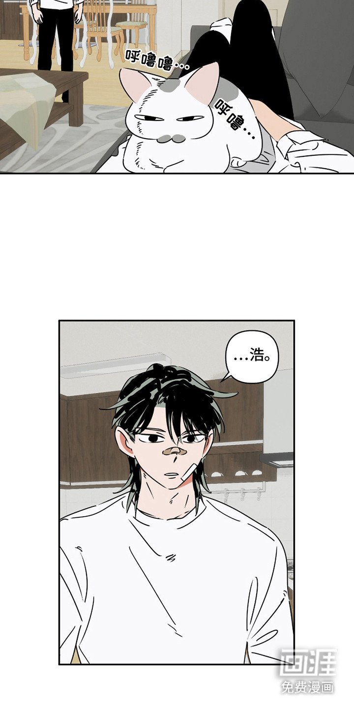 第8章：花辫子