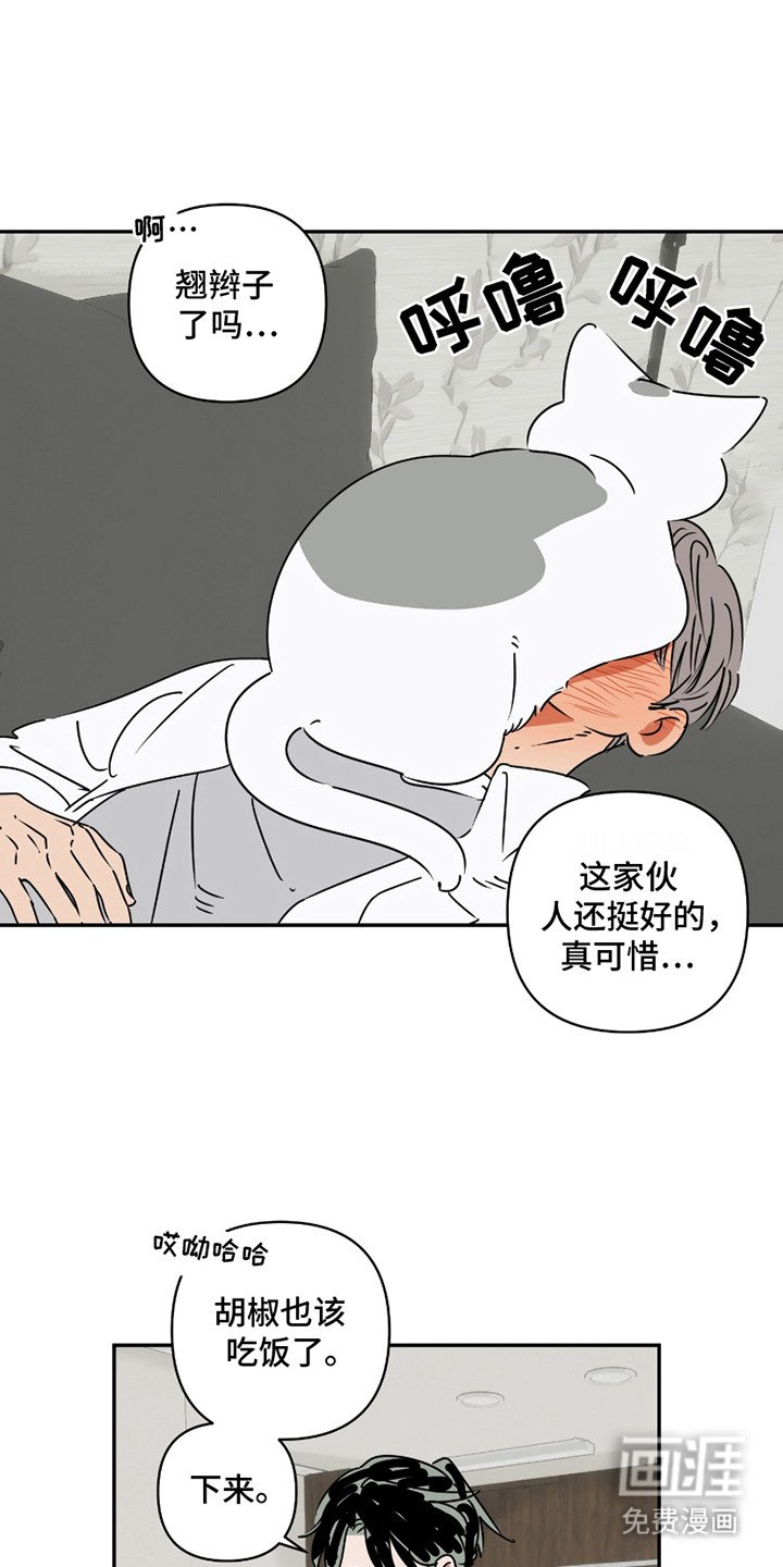 第8章：花辫子