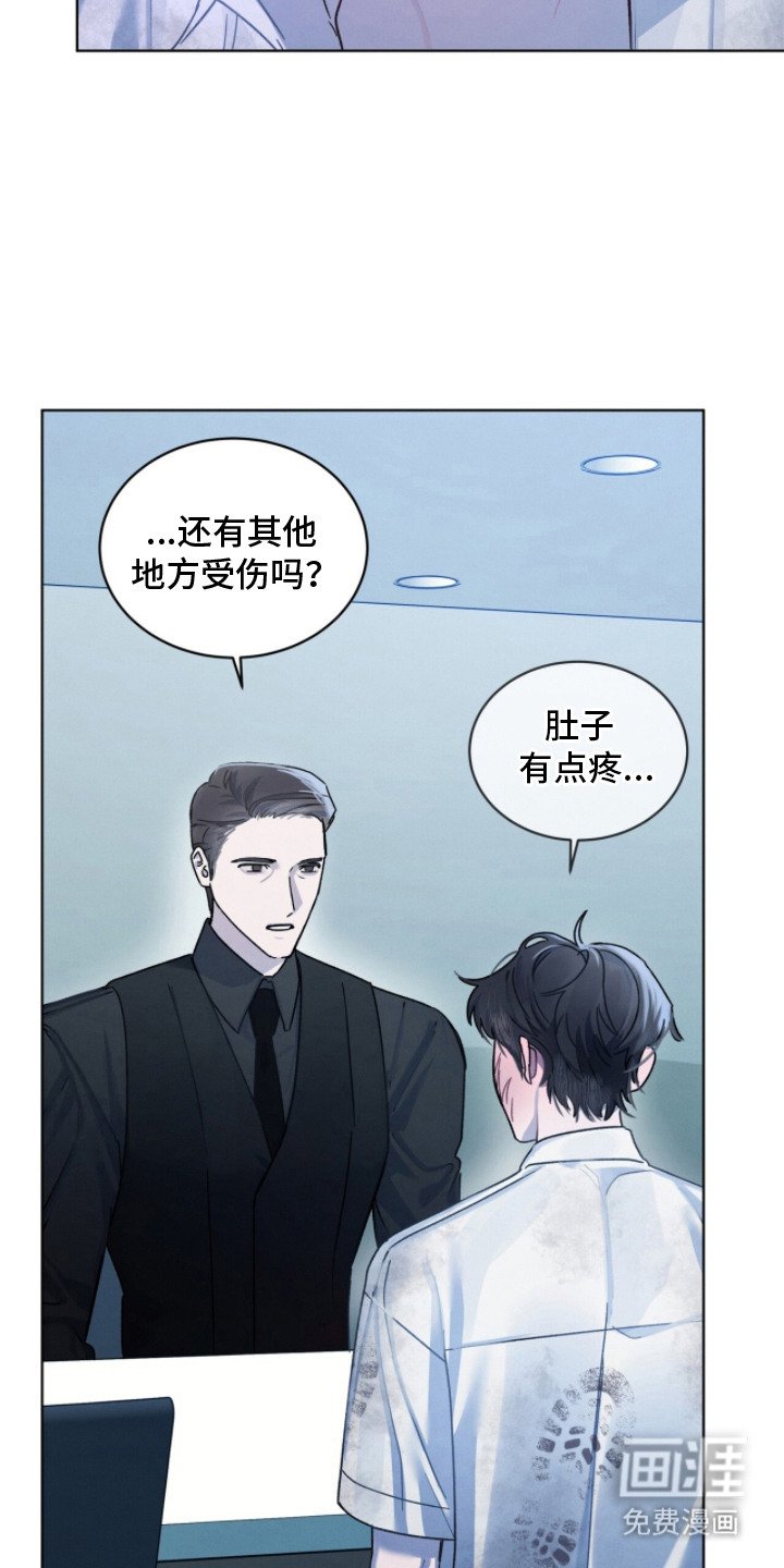 第13章：调解