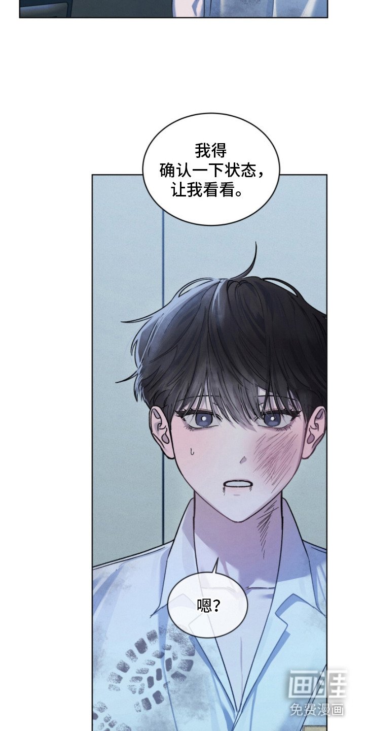 第13章：调解