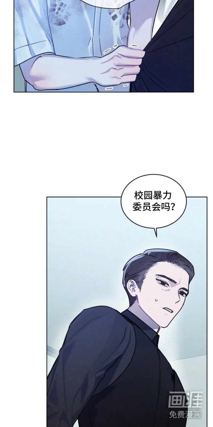 第13章：调解