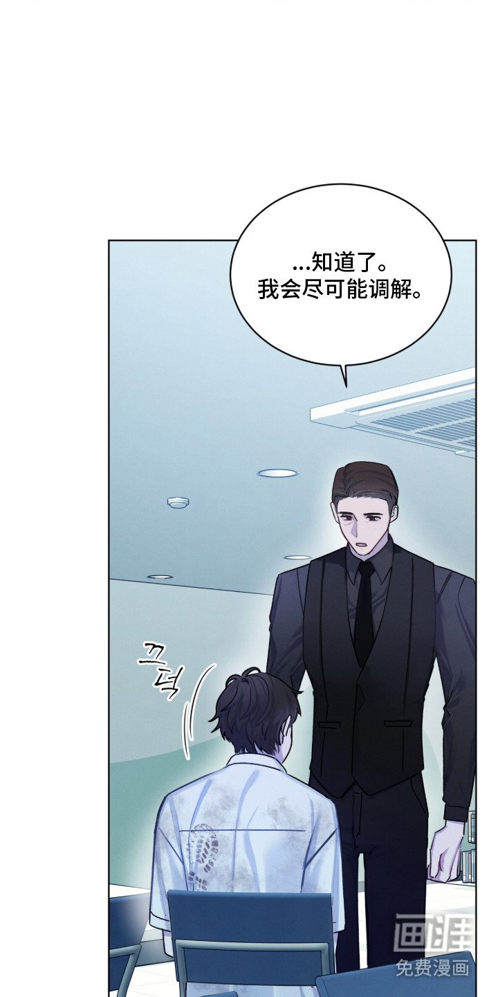 第13章：调解