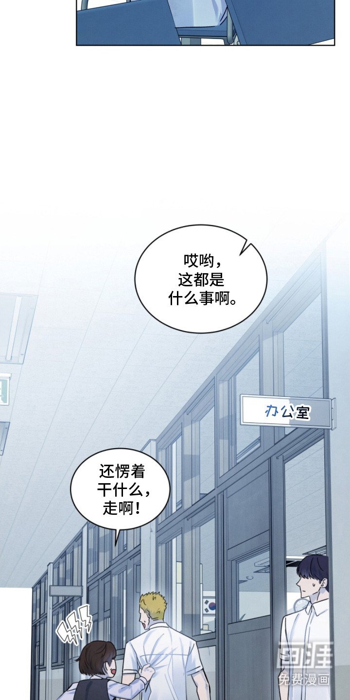 第13章：调解