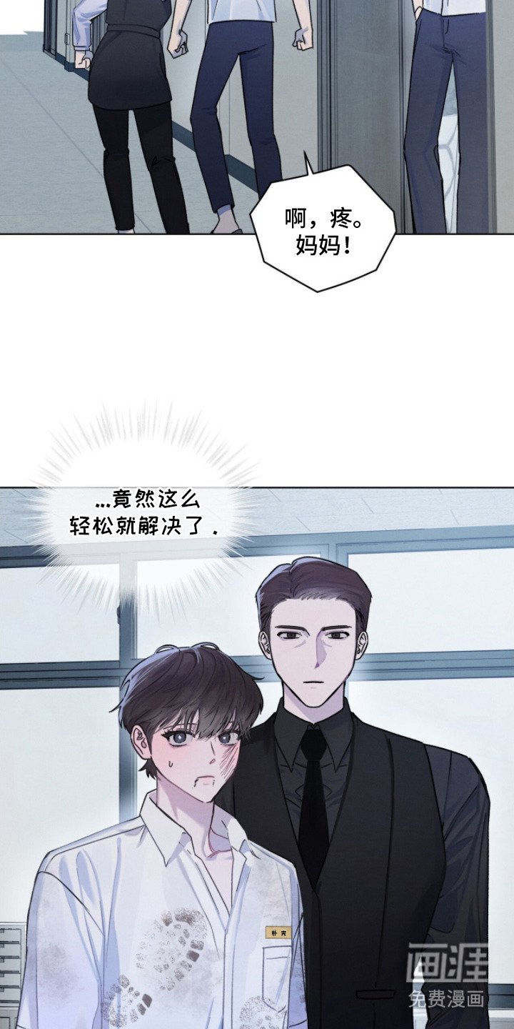 第13章：调解