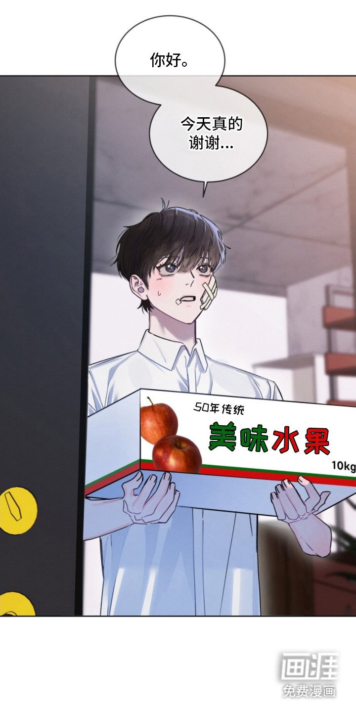 第13章：调解