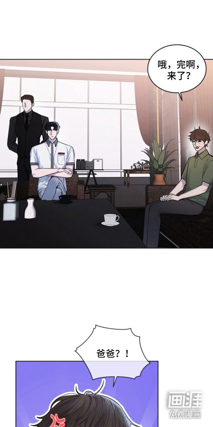 第13章：调解