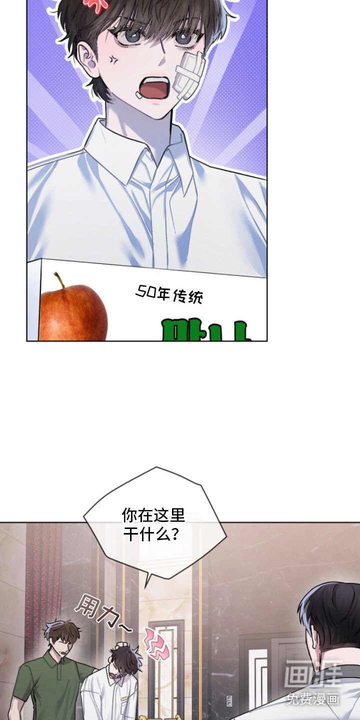 第13章：调解