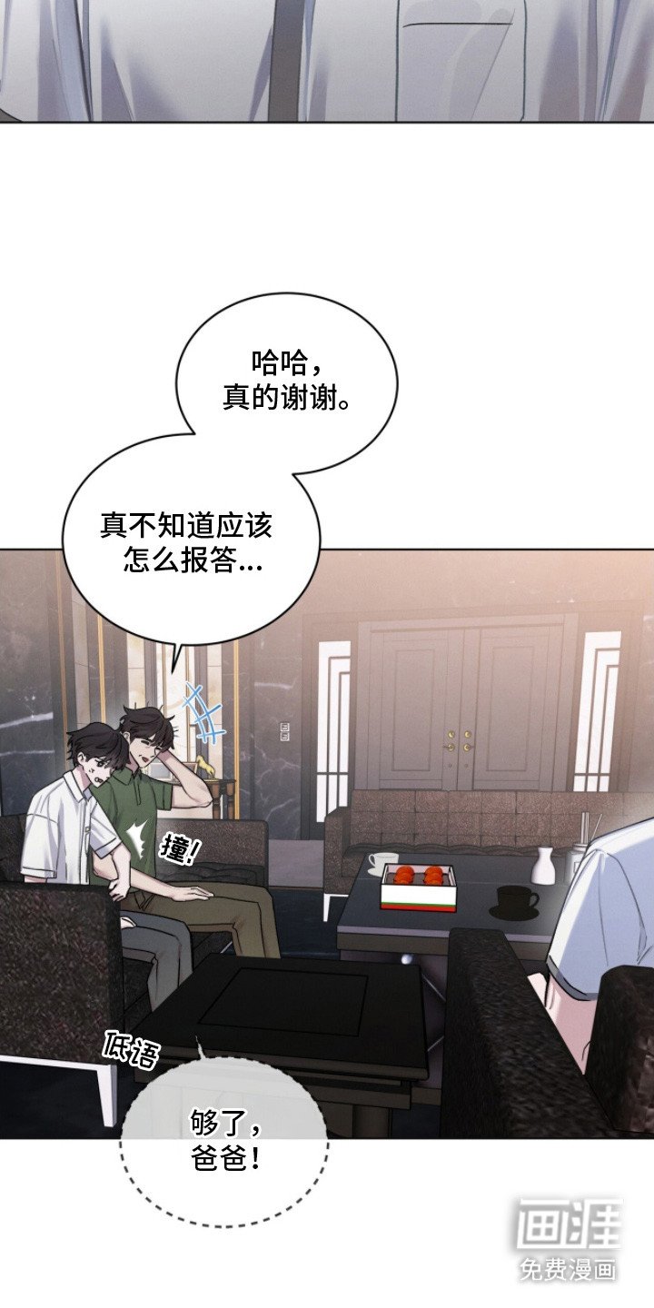 第13章：调解