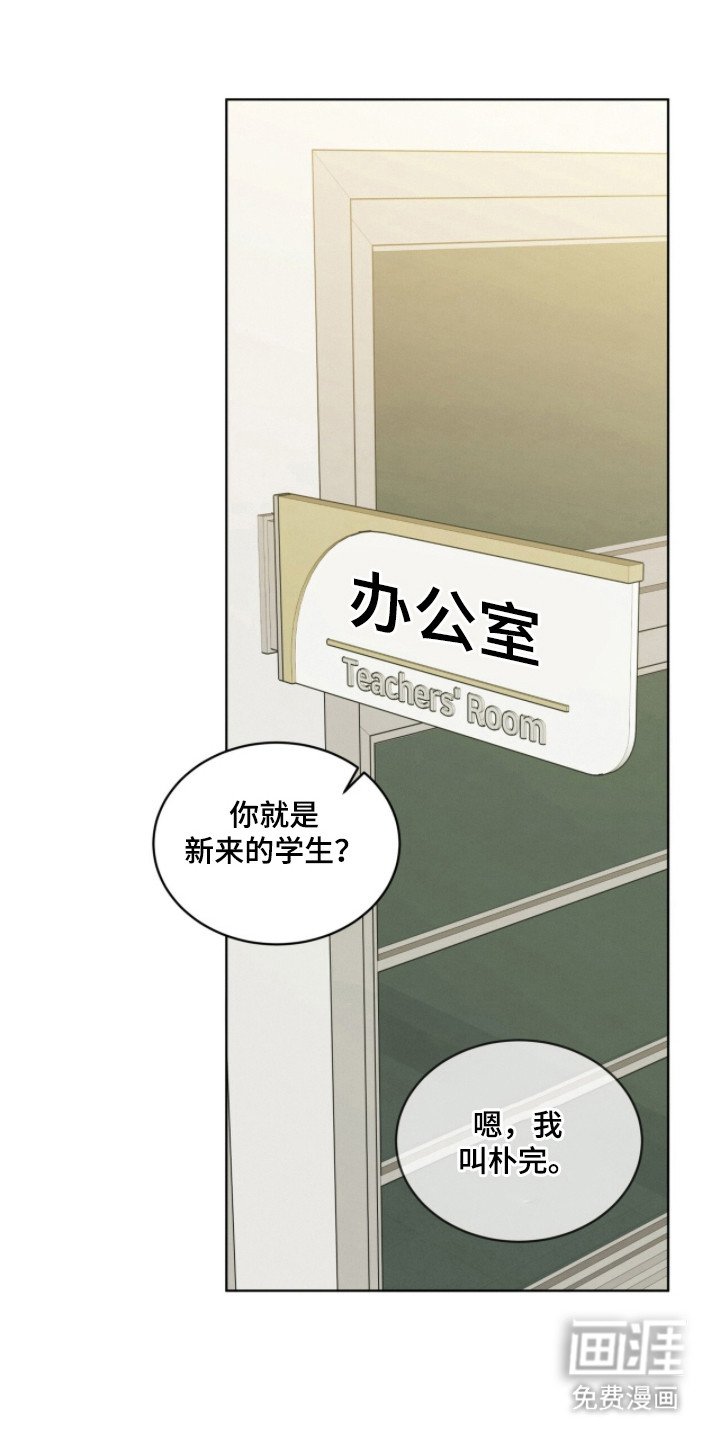 第19章：嘲讽