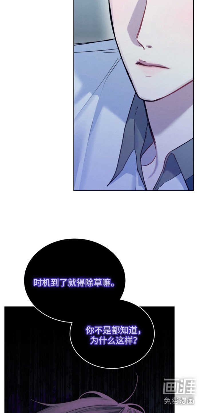 第28章：没有良心