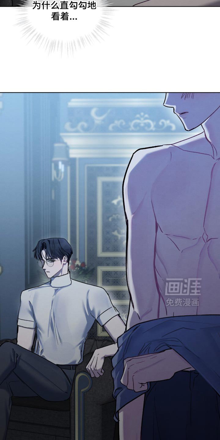 第31章：不要对视
