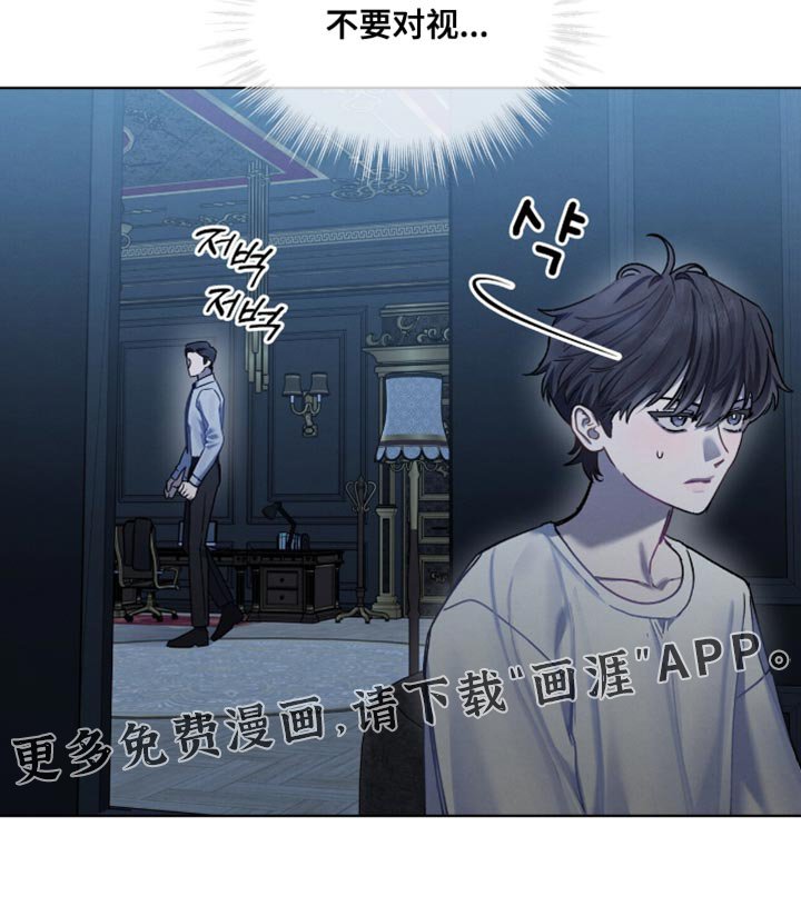 第31章：不要对视