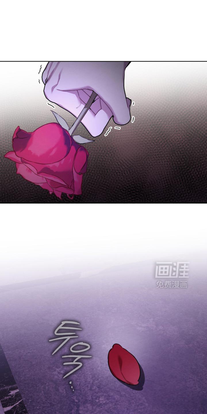 第36章：完全一团乱