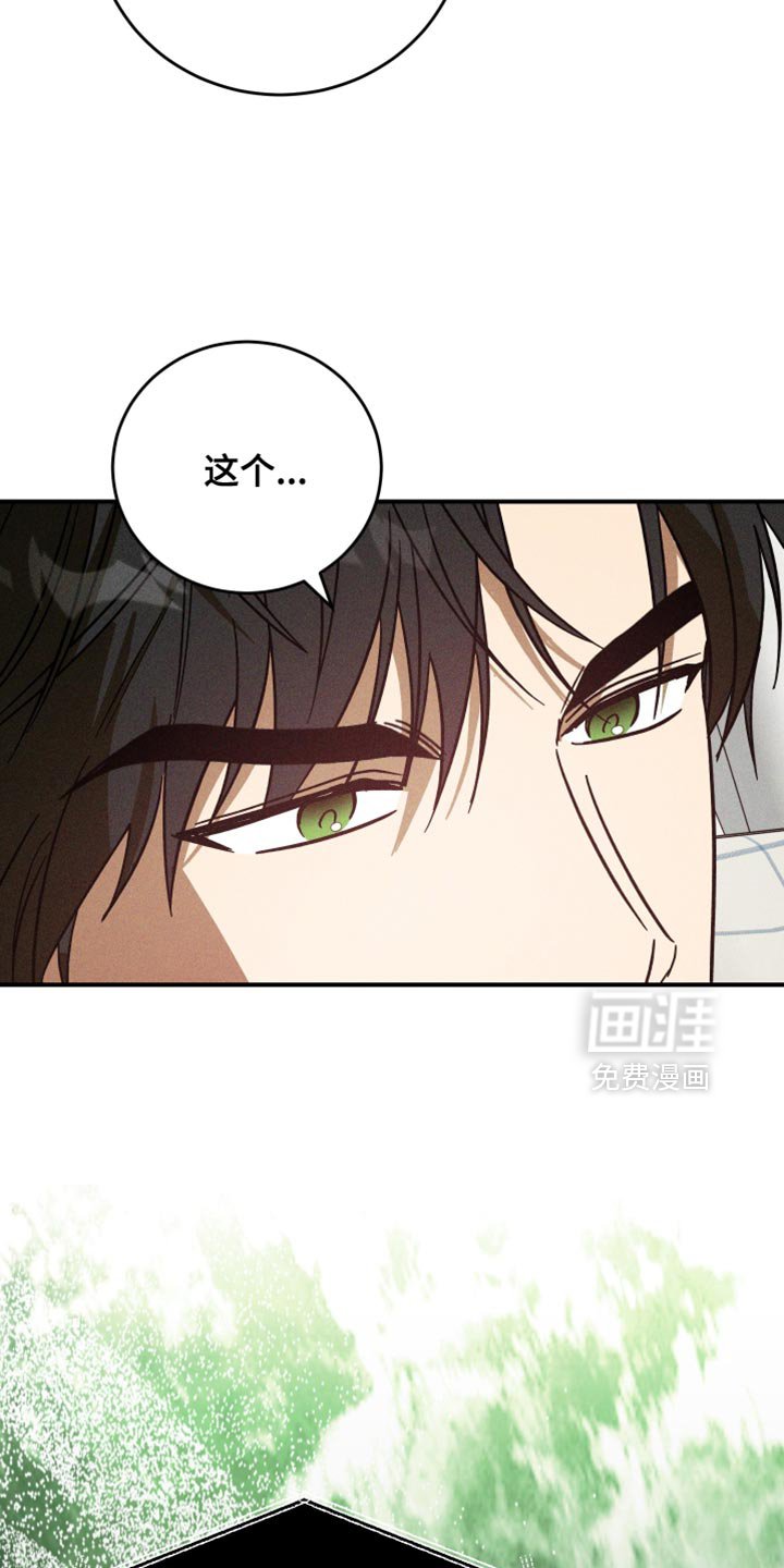第41章：就一次