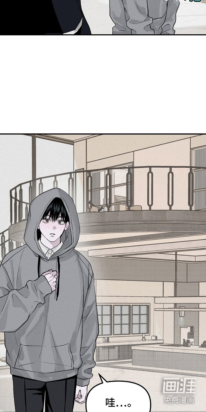 第11章：带回家