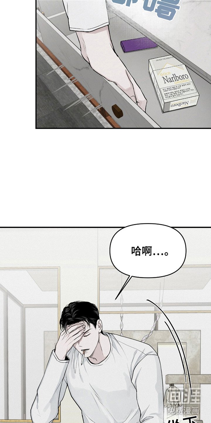 第13章：猜测