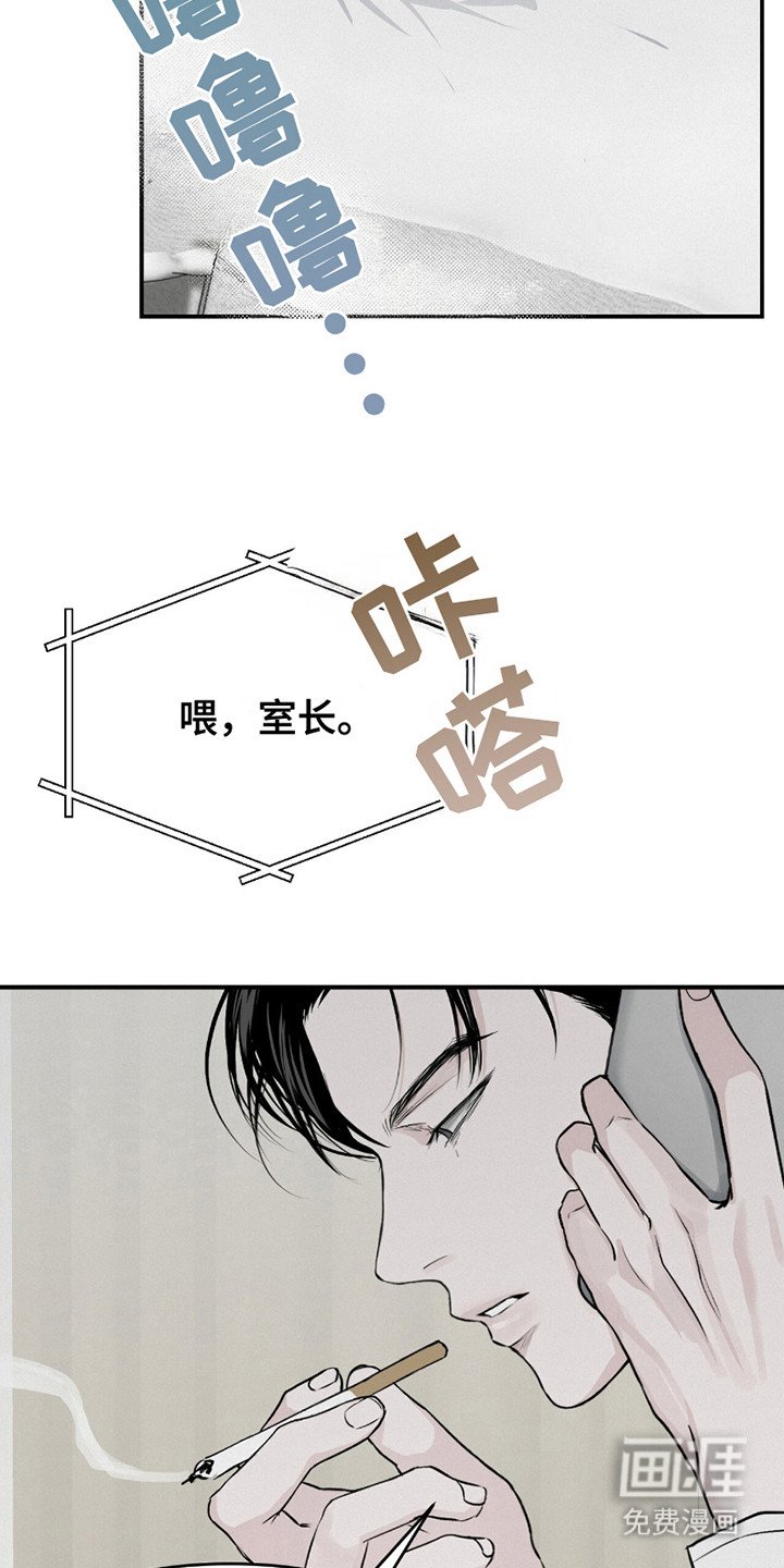 第13章：猜测
