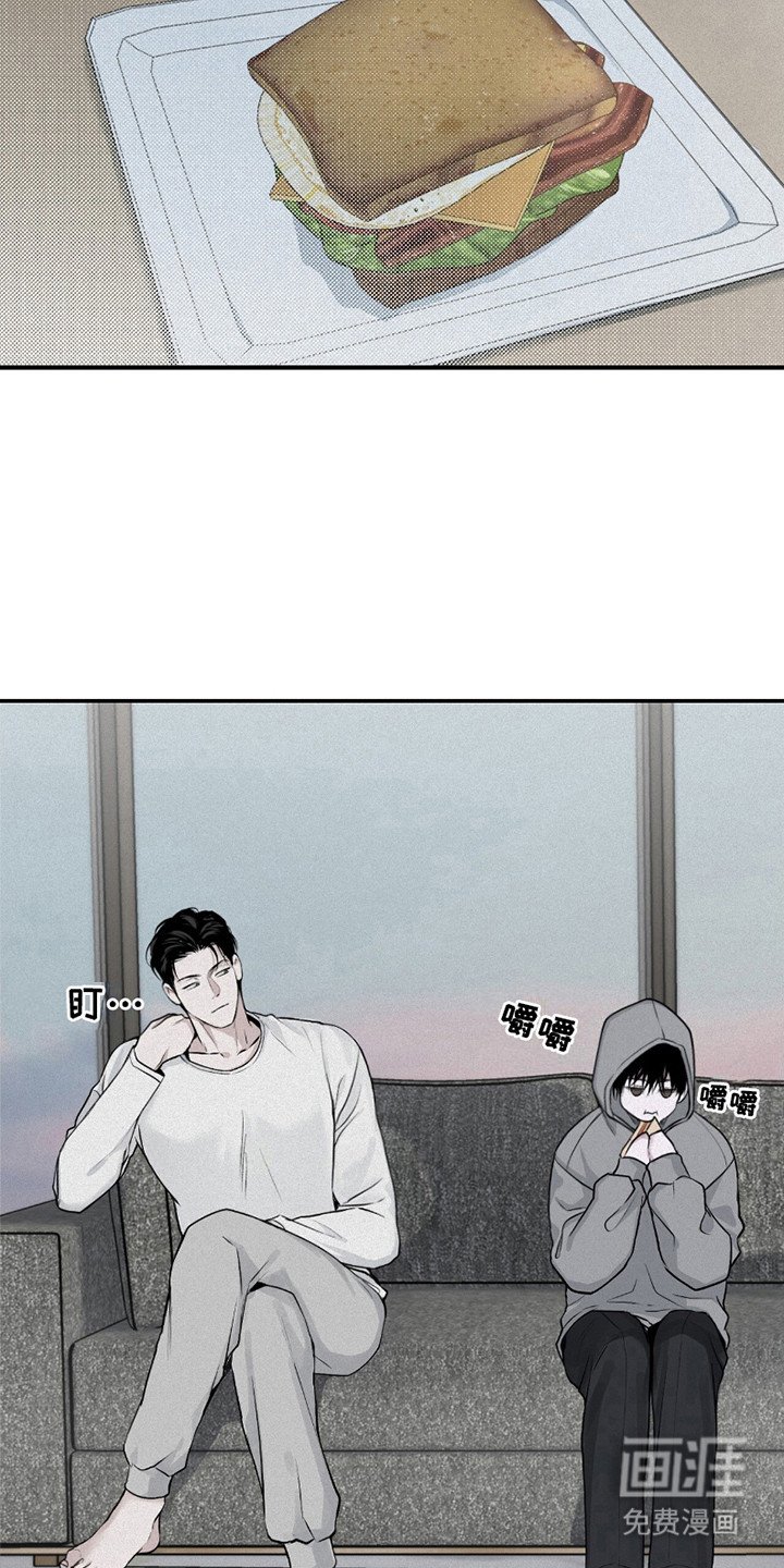 第17章：没有计划