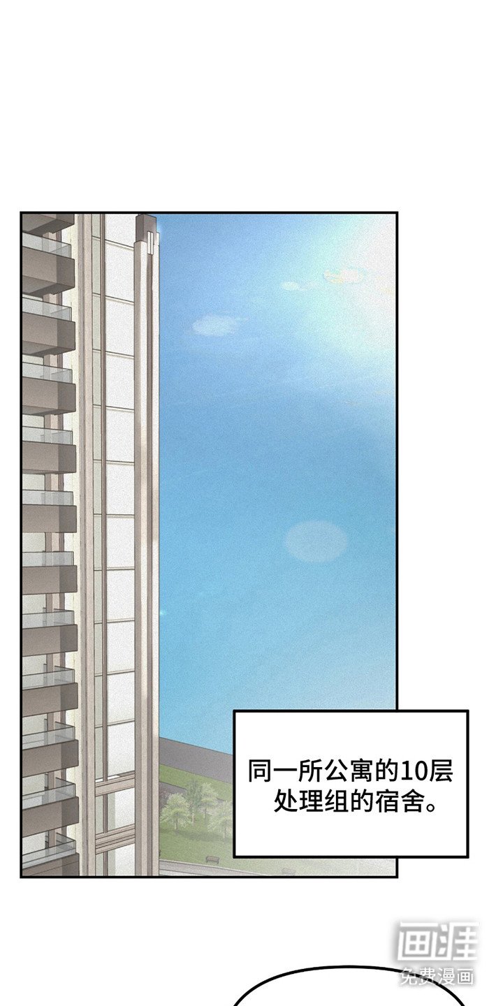 第19章：代表