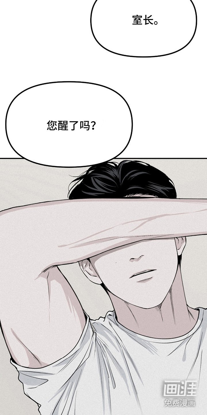 第19章：代表