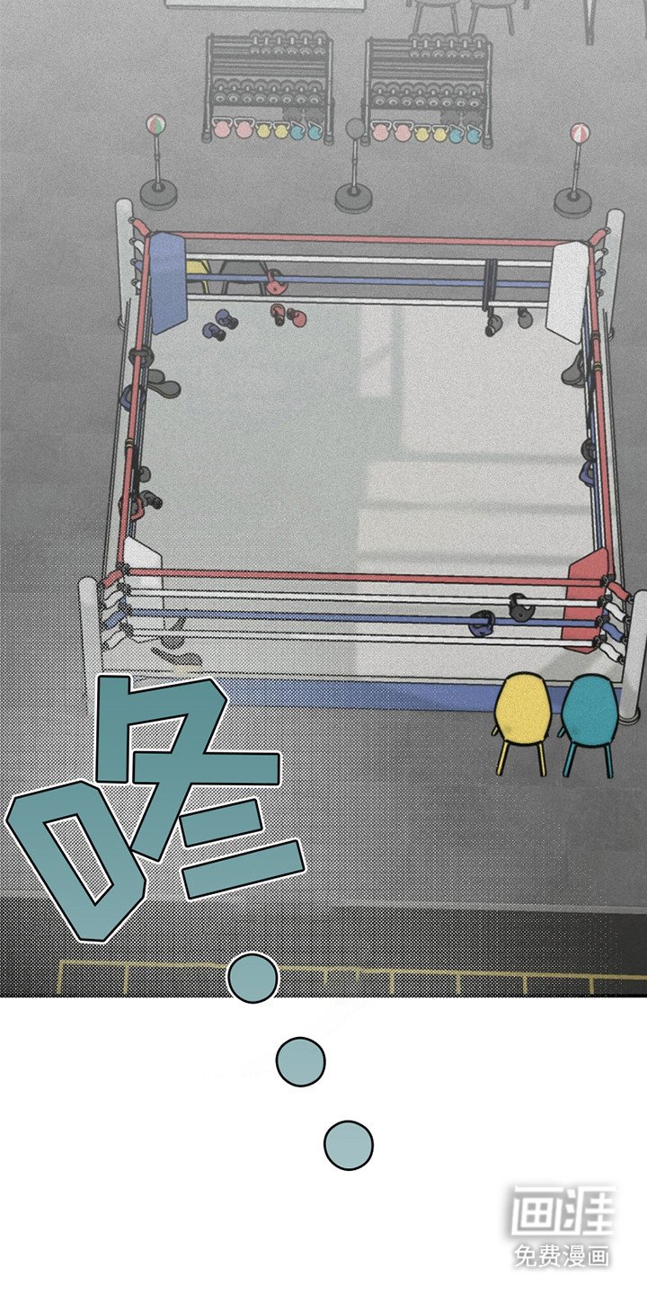 第19章：代表