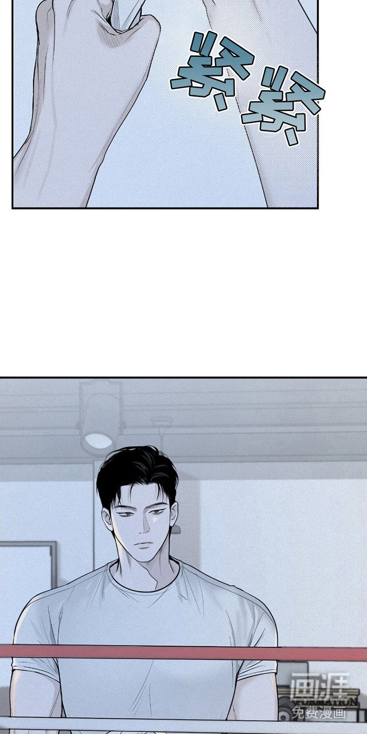 第19章：代表