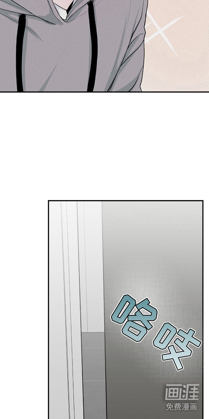 第23章：解释