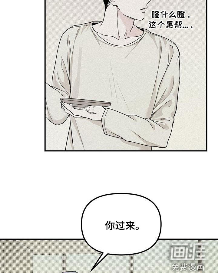 第33章：新手机