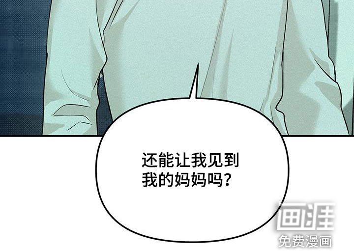 第33章：新手机
