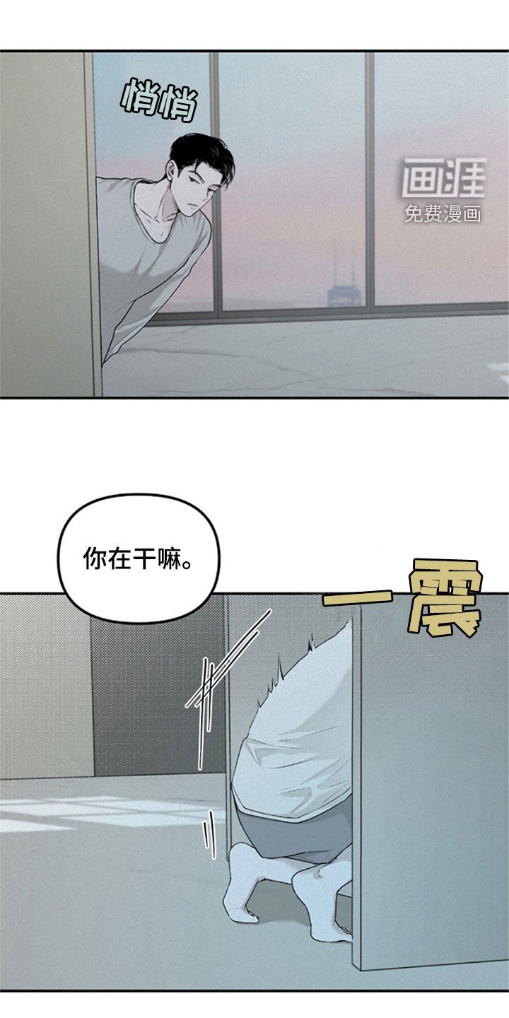 第35章：没去学校